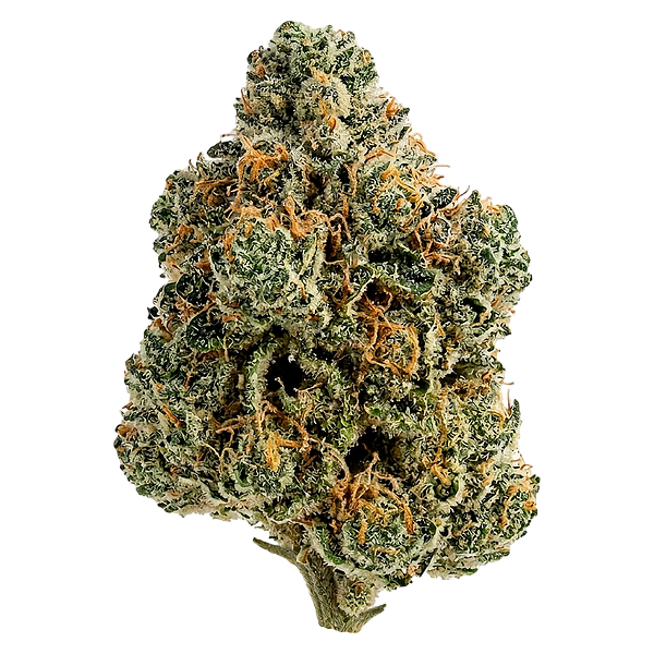 Tiki Madman - Breeders Stash