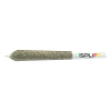 1Spliff - Indica Pre Roll thumbnail 1
