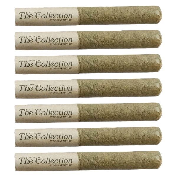 The Collection by Origine Nature - Clockwork Orange Pre-Roll