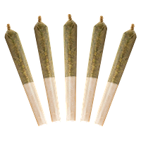 Buddy Blooms - Black Cherry Punch Bubble Hash Infused Pre Roll