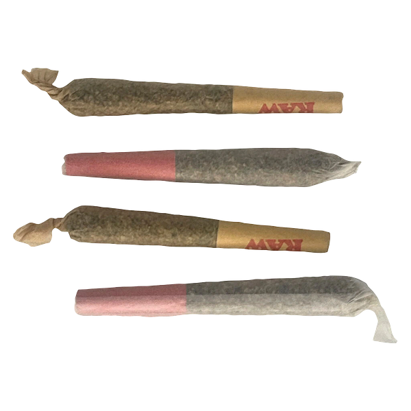 The Oz Store - Trick or Treat Pre-Roll