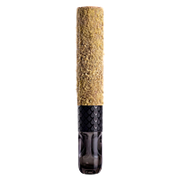 Tenzo - Black Dragon Glass Tipped Cannon Blnt Infused Pre Roll