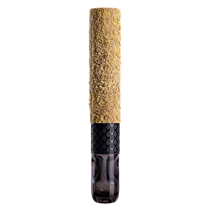 Tenzo - Black Dragon Glass Tipped Cannon Blnt Infused Pre Roll