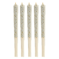 1964 - Sour Congo Pre Roll