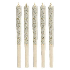 1964 - Sour Congo Pre Roll