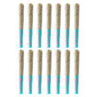 The Loud Plug - Sticky Bunz Pre Roll