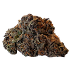 BOLD - Super Lemon Cherry Flower thumbnail 1