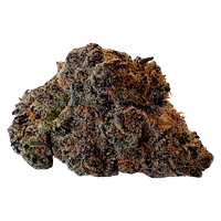 BOLD - Super Lemon Cherry Flower