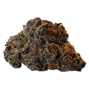 BOLD - Super Lemon Cherry Flower