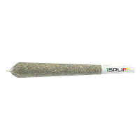 1Spliff - Creativity Pre-Roll