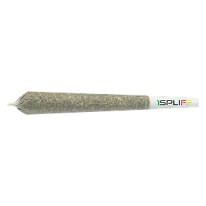 1Spliff - Creativity Pre-Roll