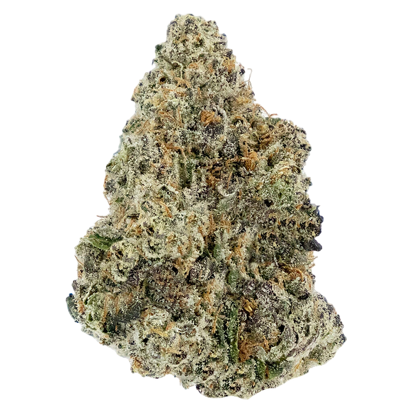 Woody Nelson - Premium Smalls [Rotating]