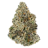 Woody Nelson - Premium Smalls [Rotating] thumbnail 1