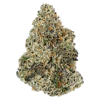 Woody Nelson - Premium Smalls [Rotating]
