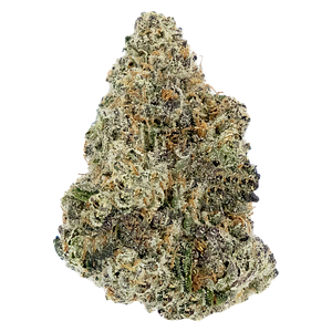 Woody Nelson - Premium Smalls [Rotating]