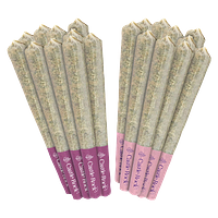 Castle Rock Farms - 10+10 Craft Indica Variety Pack