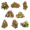 Potluck - Mix n Zip Variety OZ thumbnail 1