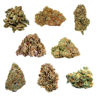 Potluck - Mix n Zip Variety OZ