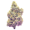 HighXotic - Royal Dive #7: Scarface Og thumbnail 1