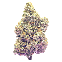 HighXotic - Royal Dive #7: Scarface Og