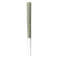 IRONY - Gelato Punch Pre-roll