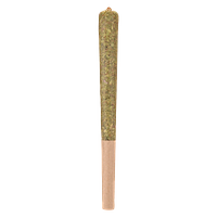 Woody Nelson - Dark Rainbow Infused Pre Roll