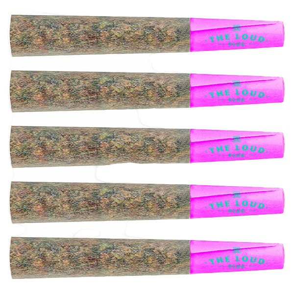 The Loud Plug - Purple Rain Pre Roll