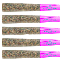 The Loud Plug - Purple Rain Pre Roll