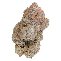 Dazed N' Confused - Oreoz X Orange Punch