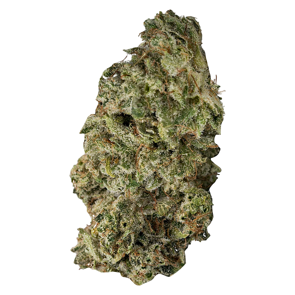 Contraband - DBL Dutch