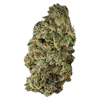 Contraband - DBL Dutch