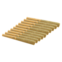 Broken Coast - Cherry Ztripez Pre Roll