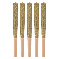 Woody Nelson - Sunset Sherbet Craft Pre Roll