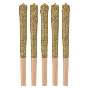 Woody Nelson - Sunset Sherbet Craft Pre Roll
