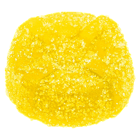 No Future - CBC Bomb - The CBC Yellow One