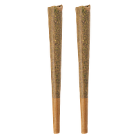BOLD GLAZED - Indica Pre-Roll