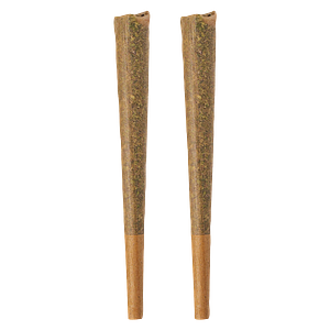 BOLD GLAZED - Indica Pre-Roll