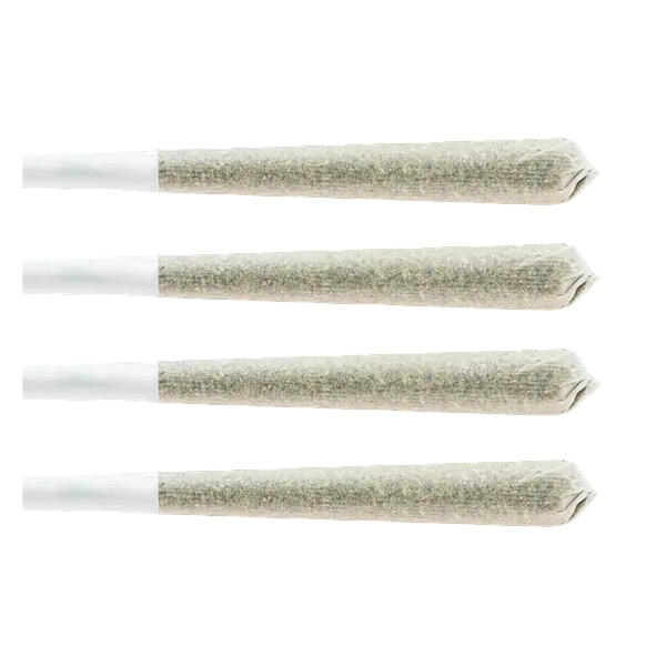 CHUB'S - Large Snack Pack Indica Pre-Roll