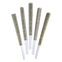 DEALR - Love Potion #9 Pre-Rolls