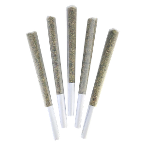 DEALR - Love Potion #9 Pre-Rolls
