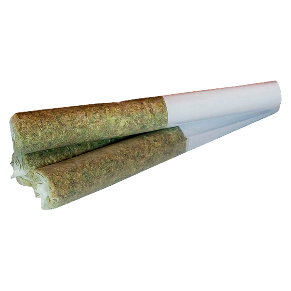 True Fire - Pacific Hammer Pre-Roll