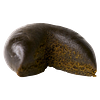 XK - Haschtag Full Buzz Hash thumbnail 1