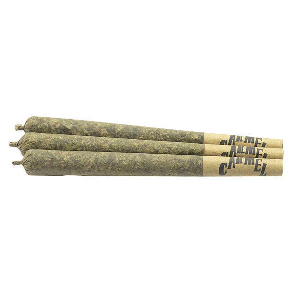 Carmel - Astronaut Status Pre Roll