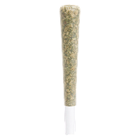 The Goo! - Brain Fruit Live Rosin Infused Pre Roll