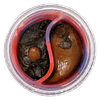 The Oz Store - Yin Yang Hash Pack thumbnail 1