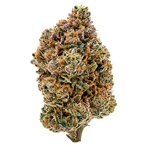 Payless - Sativa