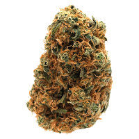 The Collection by Origine Nature - Sage N Sour