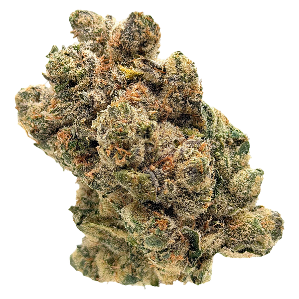 The Collection by Origine Nature - Clockwork Orange