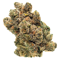 The Collection by Origine Nature - Clockwork Orange