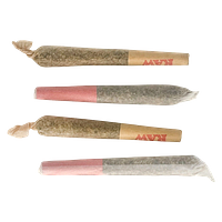 The Oz Store - Toto's Tokers Pre Roll